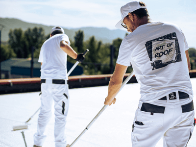 About Leaking Skylight Repair Pros Wikieup, AZ